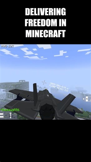DELIVERING FREEDOM IN MINECRAFT