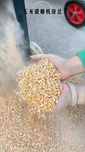 For raising 300-500 sheep, a 350-type double-roll crusher with an hourly output of 2-3 tons is recommended. #feedprocessingmachinery #doublerollgraincrusher #corncroppercrusher #grainprocessing | Arvind Thakor