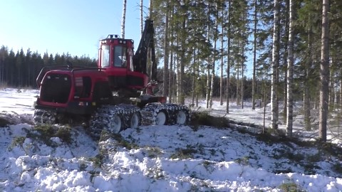 You Need to See Komatsu Excelling in Precision Tree Felling and Logging