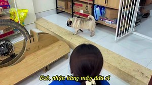 49K views · 4K reactions | Khép lại 1 ngày dài của một tập thể quá...