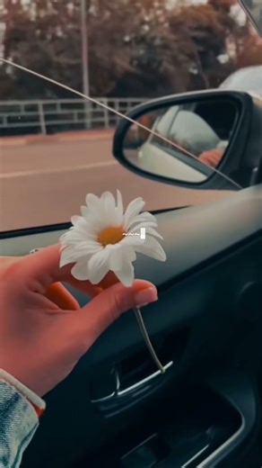 temporary pyar |aesthetic status|#lyricsxalone #love #song #lyrics #shorts