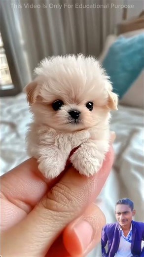 #viral #funny #fun #facts #comedy #viralshort #views