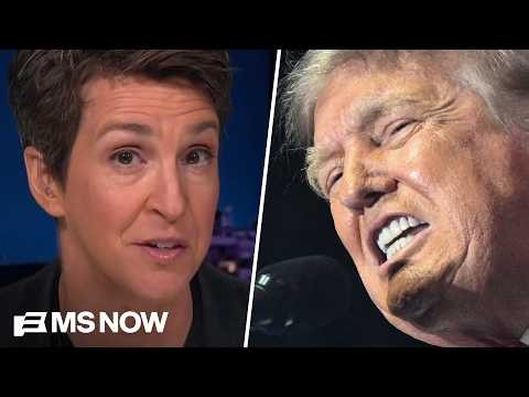 Maddow: Trump corruption makes fools of Supreme Court conservatives