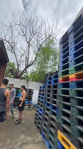 ❗️DIRECT SUPPLIER❗️ PLASTIC PALETA/TARIMA/PALLET We ship to LUZON,VISAYAS & MINDANAO. Good Quality and Reliable plastic pallets for your racking needs💪 Available on all standard sizes. COD/Bank transfer. PM us directly 👍 | Pallet Republic