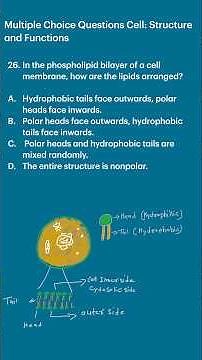 26 Multiple Choice Questions Cell: Structure and Functions