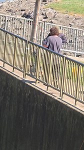 66K views · 395 reactions | I was checking out the #Missisinewa #Spillway and seen guy with a fish ON and with his consent I was able to post the short video. Pics of the fish and his day at the #Missisinewa #Spillway will be in a separate post | Peru Scanner | Facebook