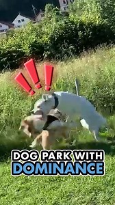 355K views · 13K reactions | This was an interesting interaction to...