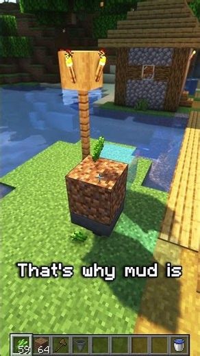 Stop Using Sand For Sugar Cane!