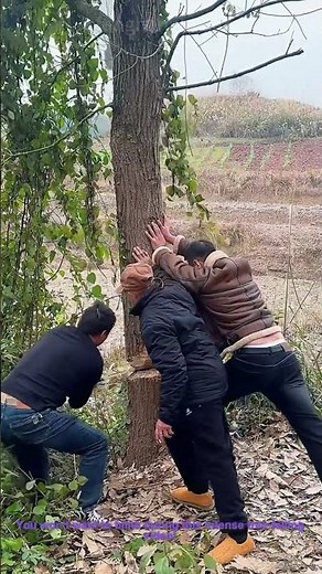 Intense Tree Felling: Watch This Massive Tree Come Down!