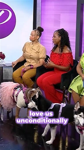 3 comments | From special pup cups to canine couture, these pet #parents say their fur babies deserve nothing but the best. Friday on #Portia, three #dog moms share why they enjoy pampering their pups with a life of #luxury. #PortiaShow #DogMom #PuppyLove | Portia Show | Facebook