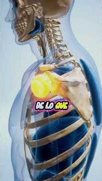 Does your shoulder crack or click? Beware: it could be the start of osteoarthritis without you ev...