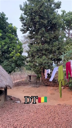 Traditional Guinean Dance Performance by M'Boma Mariama Barry