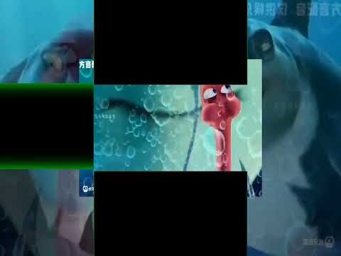 (YTPMV) ytp Second From Shark Tale Productions Scan+Scan Thekantapapa