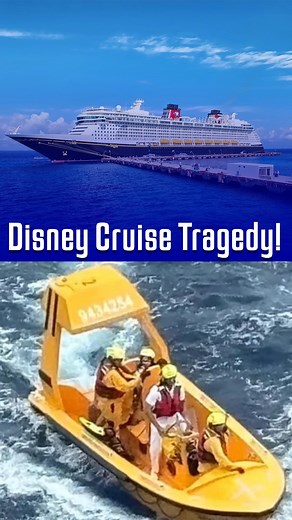 4.4K views · 84 reactions | Should New Cruiser Face Charges for Photo That Sent Her Daughter Overboard? | Dream Update/Analysis | Dr. Todd Grande | Facebook