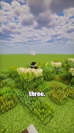 Minecraft Grass But 10x Better (Texture Pack)