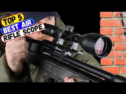 Best Air Rifle Scope in 2024 - 5 Best Budget Scopes for You!