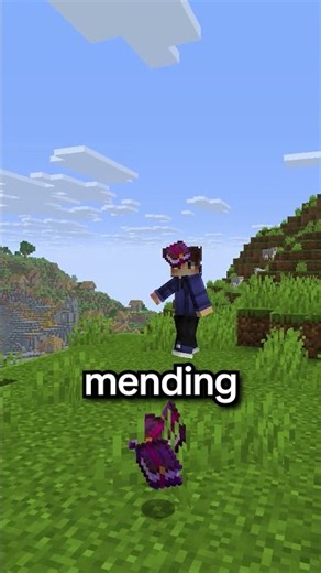BEST Minecraft Enchants