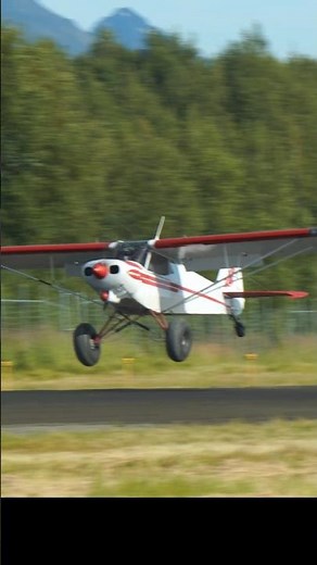 1951 PIPER PA-18-150 Super Cub N1248A #landing #2025 #airport #aviation #flightplan