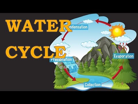 What is Water Cycle? (PowerPoint Presentation) Made by Z&Z Creations.