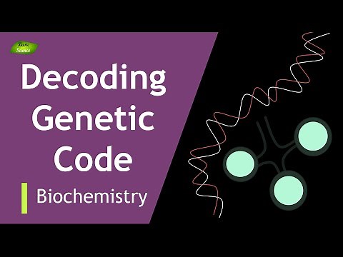 Decoding the Code-2 | Khorana's Exp | Start | Stop Codon | BIOCHEM | Part-3 | Protein synthesis |