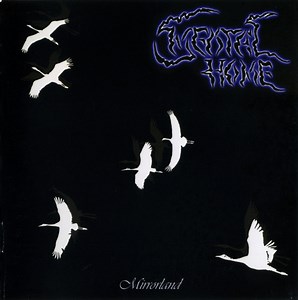 Mental Home - Mirrorland