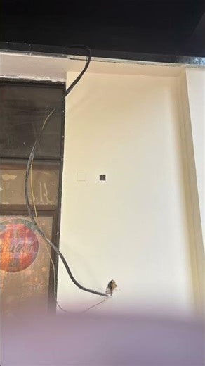 Installed cable trunk #electrical #installation