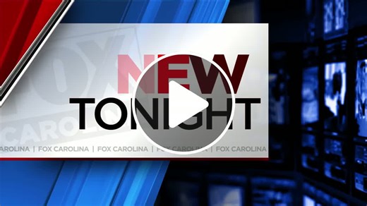 Concert used to support wolf conservation in North Carolina - NewsBreak