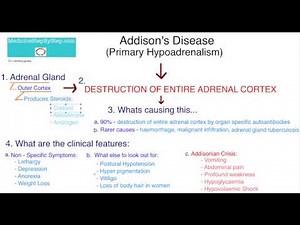 Understanding Addison's Disease