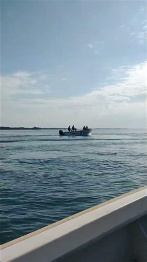 Las Islas Apipé: Un paraíso natural en conflicto