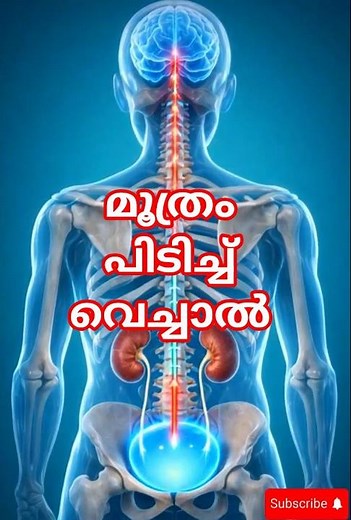 What Happens Inside Your Body When You Hold Your Pee Too Long