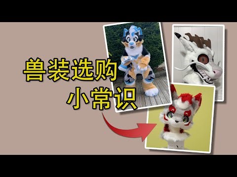 A must-see for newcomers! Fursuit Buying Guide: Be sure to understand these before buying