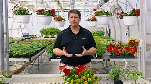 8.4K views · 60 reactions | Check this video and learn why manganese is of capital importance to healthy plant growth #promix #horticulture | PRO-MIX Greenhouse Growing | Facebook