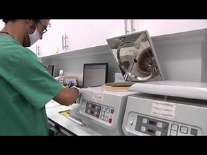 L'Insemination Artificielle - Ginefiv Clinique