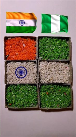 🇮🇳 India vs 🇳🇬 Nigeria Flag Rice Art 😍 | Amazing Food Art You Must See! #flag #india #ytshorts
