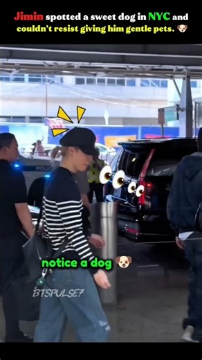 Jimin Meets the Cutest Dog in NYC! 🐾 #jimin #parkjimin #btsupdate #new #ytshorts #shorts