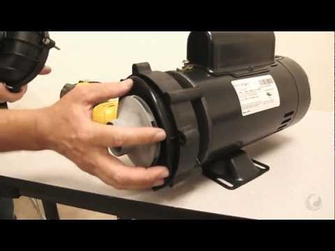 Proper Way to Change a Pump Wet End