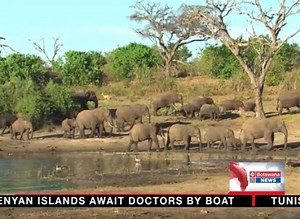 1.1K views · 13 reactions | The Department of Wildlife and National Parks have started providing water to stranded hippos in the Ngamiland District. | YTV Botswana | Facebook