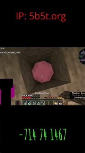 FREE STUFF IP: 5b5t.org #minecraft