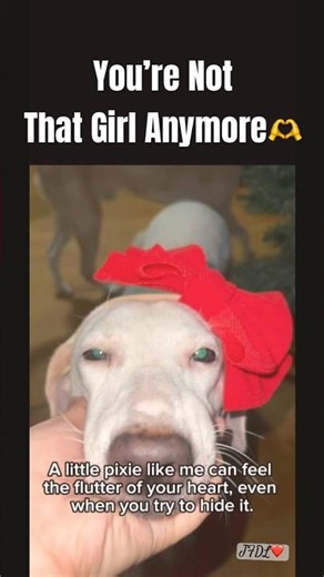 Hurts to Miss Him… But Look | Pixie Series