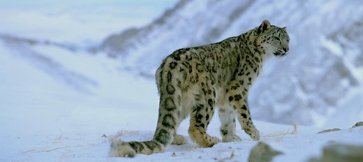 Our free Explore poster resources