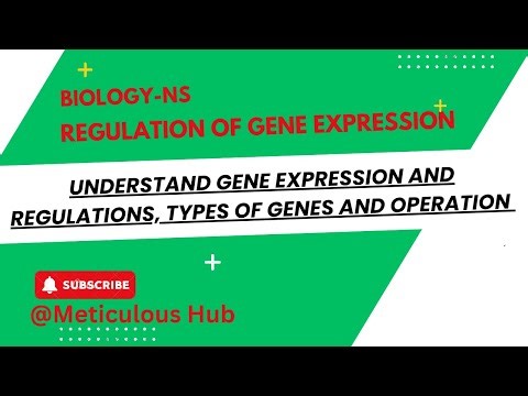 Regulation of Gene Expression Made Simple | Prokaryotes & Eukaryotes Explained Part 1🧬✅