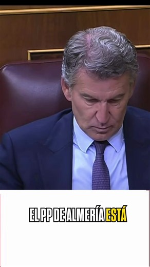 El PP de Almería está sentado en el banquillo por cohecho, malversación, prevaricación administrativa, fraude en la contratación, blanqueo de capitales y Feijóo calla porque “aún no tiene la información adecuada para tomar decisiones”.