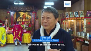 Chinese New Year 2025: Everything you need to know about the Year of the Snake