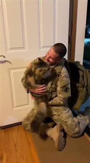 This is what coming home feels like 🐈🥹 #cat