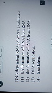 DNA dependent-RNA polymerase catalyses;(1) the formation of DN... | Filo