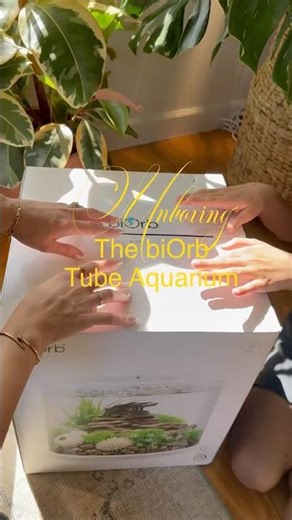 biOrb Tube Aquarium 🌿