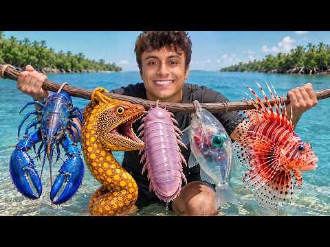 I Caught The World’s Rarest Ocean Animals!