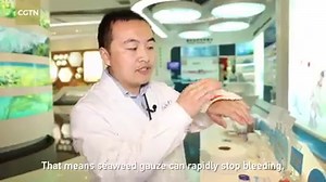 What do beer, sausages, ice cream, facial masks, and toothpaste have in common? To the undiscerning eye, they're the bare essentials for any pajama party. But for those familiar with the "blue economy" of Qingdao, the link is crystal clear: seaweed. In the coastal Chinese city, facing the Yellow Sea, aquaculture is a flourishing industry – and seaweed is the catch of the day, every day. But beyond a small circle of chefs, botanists, and chemists, few are interested in the plant whose all-too-fam