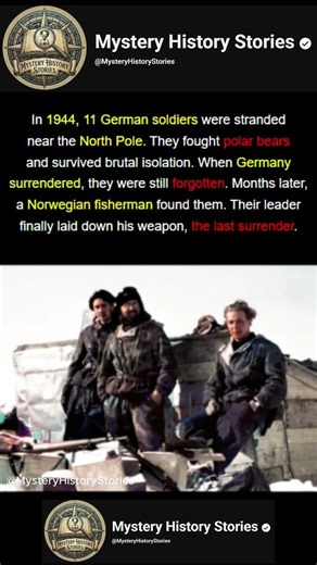 When the Last Nazi Surrendered Months After WWII Ended ❄️🏳️
