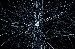 Brain simulation breakthrough reveals clues about sleep, memory